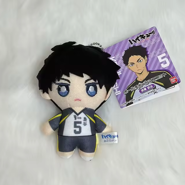 llavero haikyuu akaashi keiji