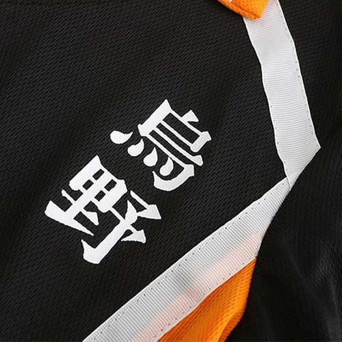 Cosplay Hinata Shoyo n°10 Haikyuu - amplitudmodulada