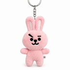 cooky