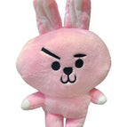 cooky