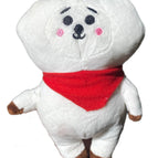 rj
