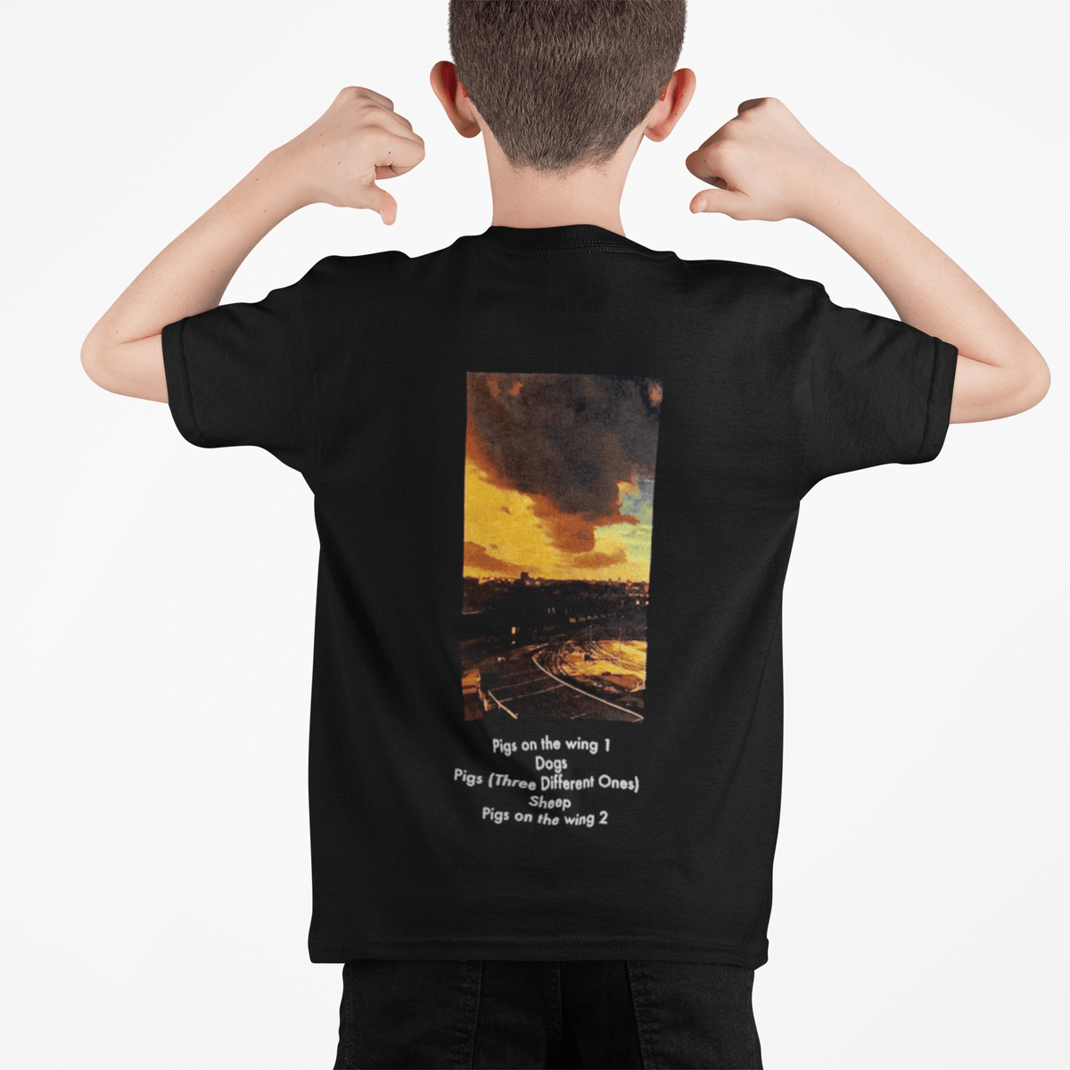 Polera Pink Floyd Animals KIDS - amplitudmodulada