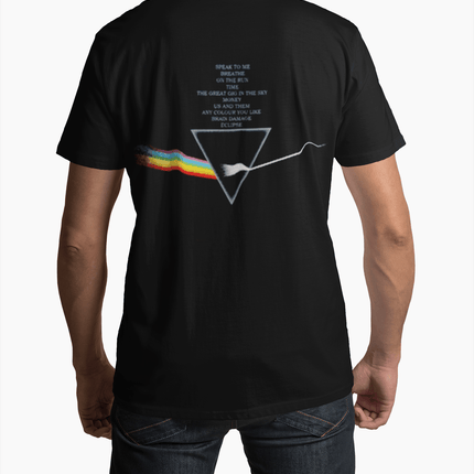 Polera pink floyd The Dark Side of the Moon - amplitudmodulada
