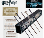 Varita de Harry Potter 42 cm + ticket de plataforma 9 3/4 y guia de hechizos - amplitudmodulada